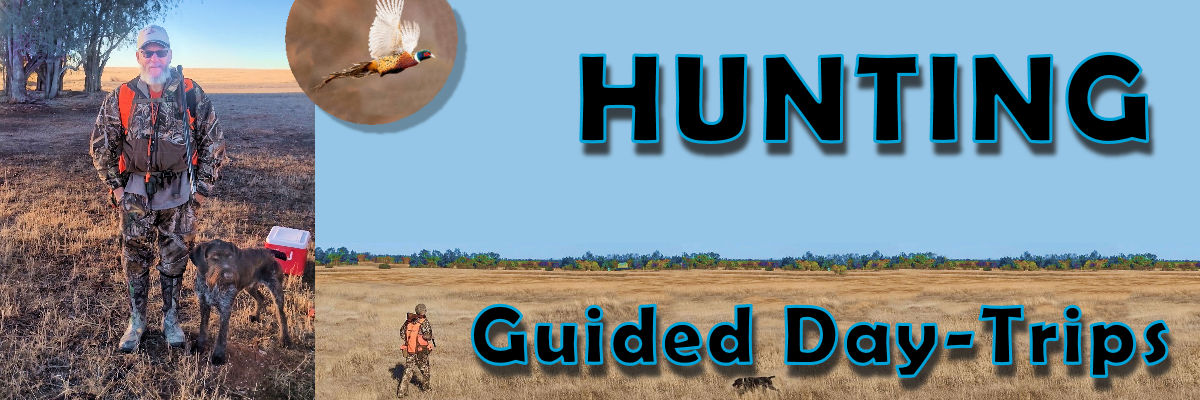 All about getting started in responsible gun ownership